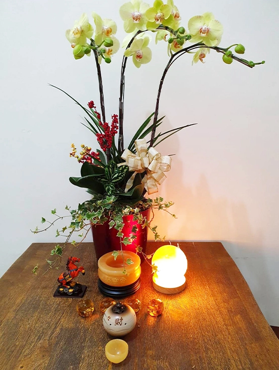 風水佈陣《實景圖一》