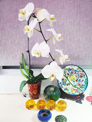 風水佈陣《實景圖二》